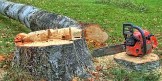 Best Tree Mulching  in Port Monmouth, NJ