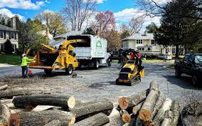 Best Fruit Tree Pruning  in Port Monmouth, NJ